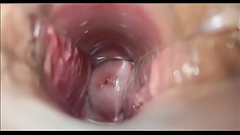 Cumshot And Vaginal Orgasm With Close-Ups